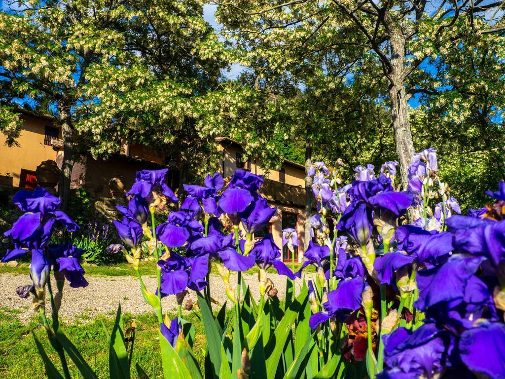 Agriturismo Verde Oliva บันโญ อา ริโพลี ภายนอก รูปภาพ